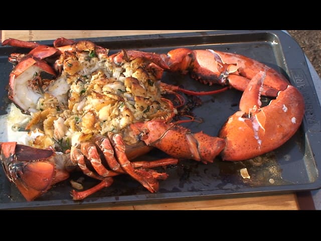 Barbecued Stuffed Maine Lobster