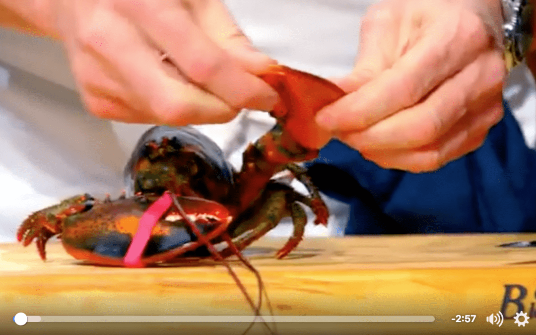 How To Extract Every Bit of Meat From a Lobster